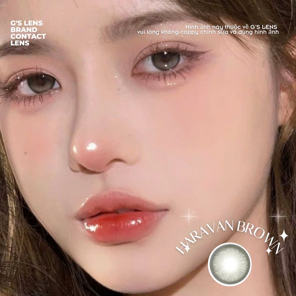 Kính áp tròng 6 tháng HARAVAN BROWN màu nâu rêu tự nhiên giãn tròng nhỏ GTRENDY - MC38