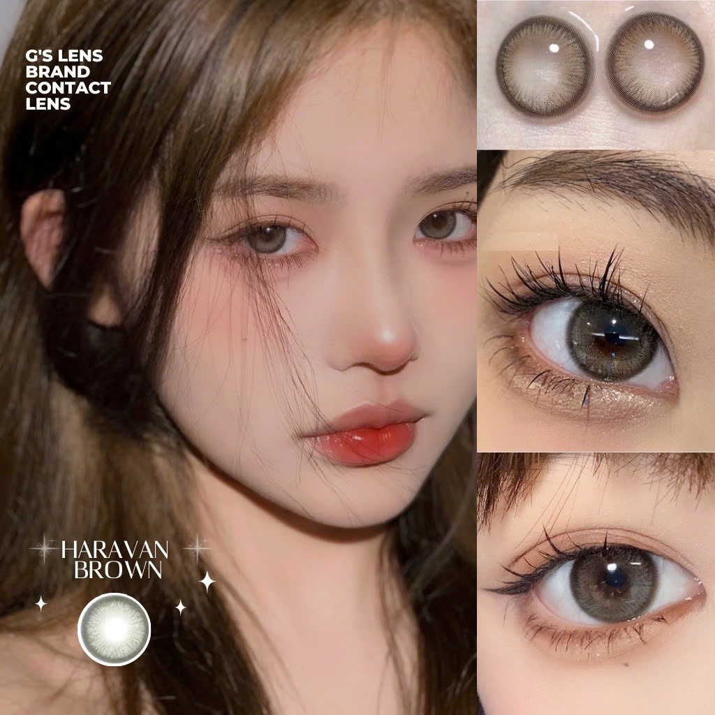 Kính áp tròng 6 tháng HARAVAN BROWN màu nâu rêu tự nhiên giãn tròng nhỏ GTRENDY - MC38
