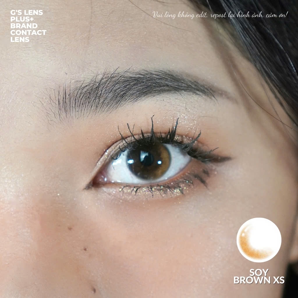 Kính áp tròng 6 tháng SOY BROWN màu nâu tự nhiên không giãn tròng