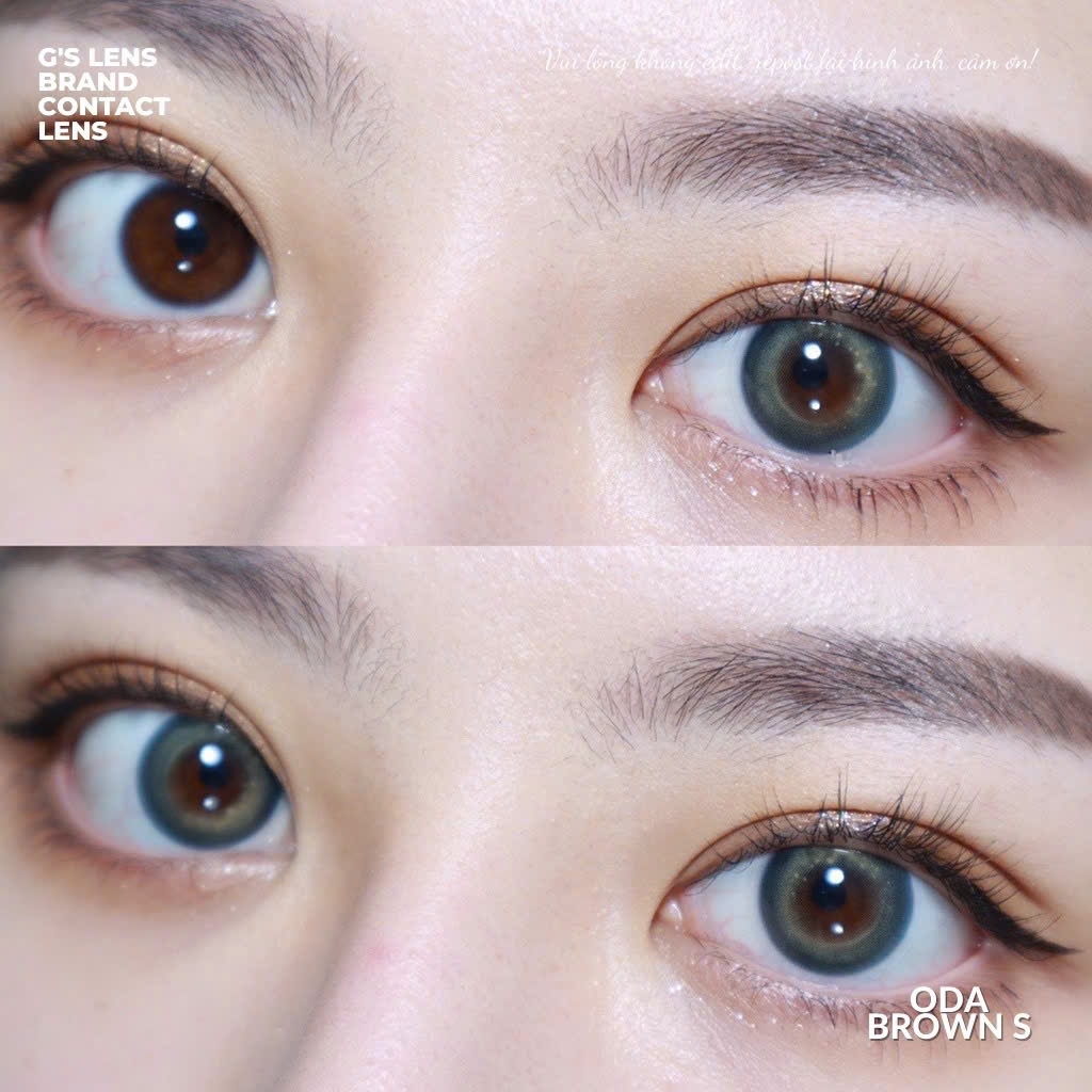 Kính áp tròng 6 tháng ODA BROWN màu nâu sáng tây giãn tròng nhỏ GTRENDY - MC38