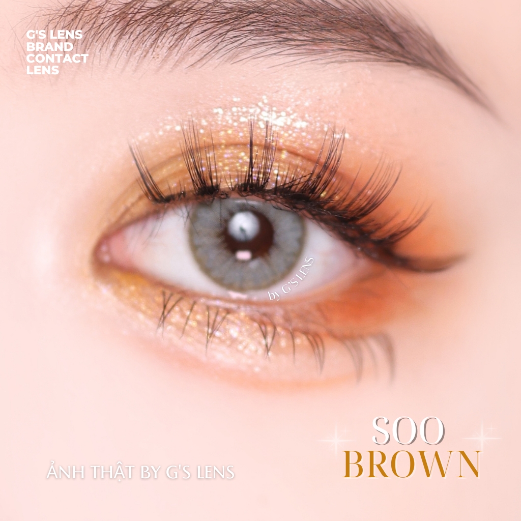 Kính áp tròng 6 tháng SOO BROWN màu nâu rêu sáng tây giãn tròng nhỏ GTRENDY - MC38