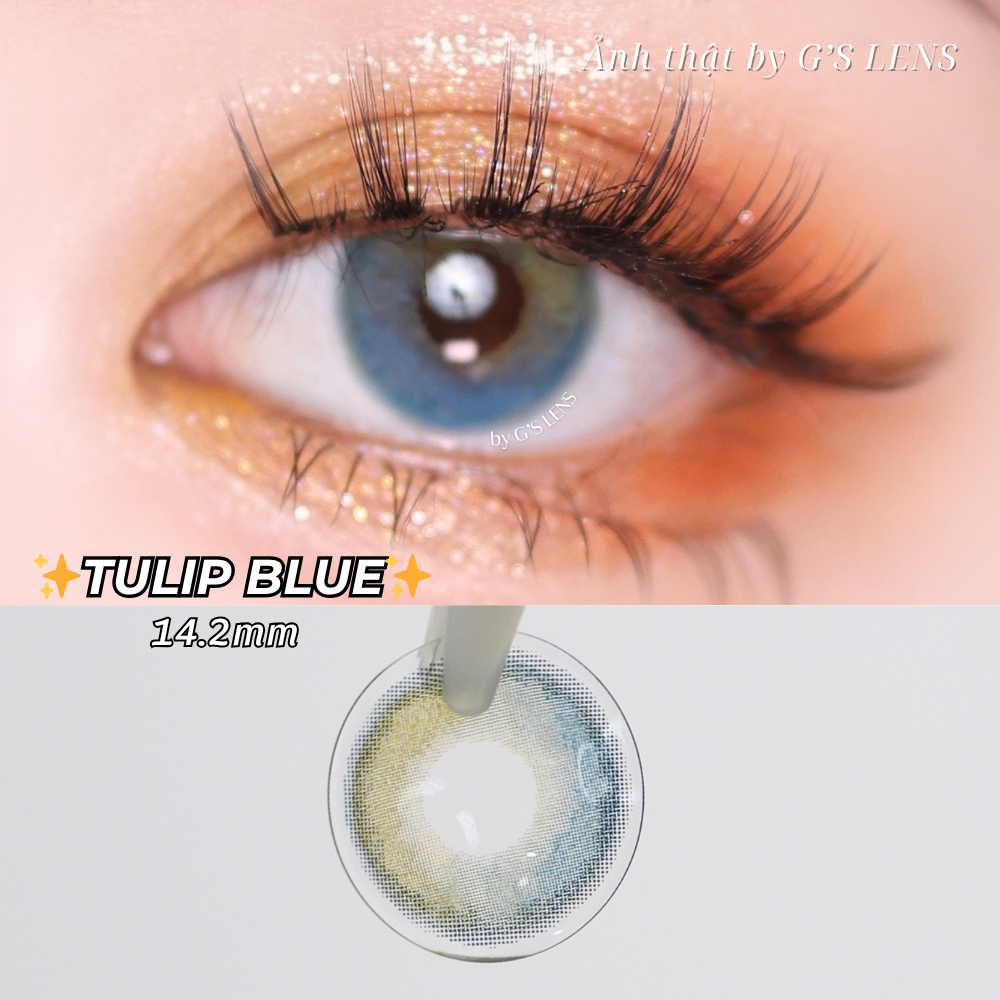 Kính áp tròng 6 tháng TULIP BROWN màu nâu xanh sáng tây giãn tròng nhỏ GTRENDY - MC38