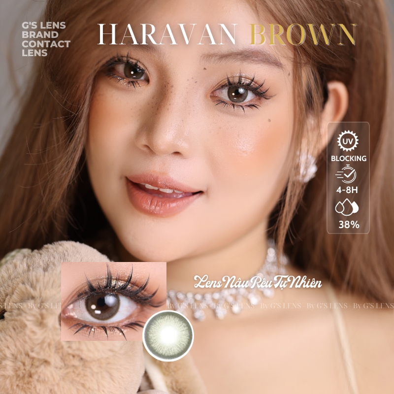 Kính áp tròng 6 tháng HARAVAN BROWN màu nâu rêu tự nhiên giãn tròng nhỏ GTRENDY - MC38
