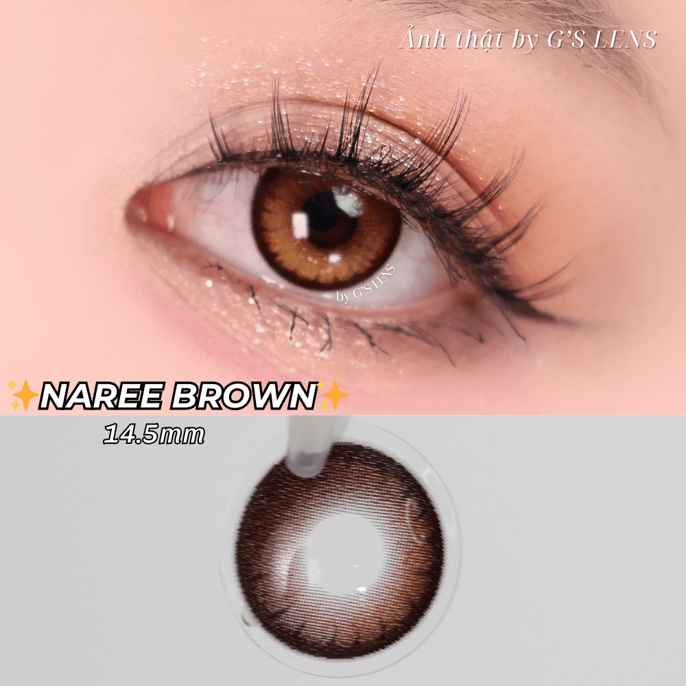 Kính áp tròng 6 tháng NAREE BROWN màu nâu sáng tây giãn tròng vừa GTRENDY - MC38
