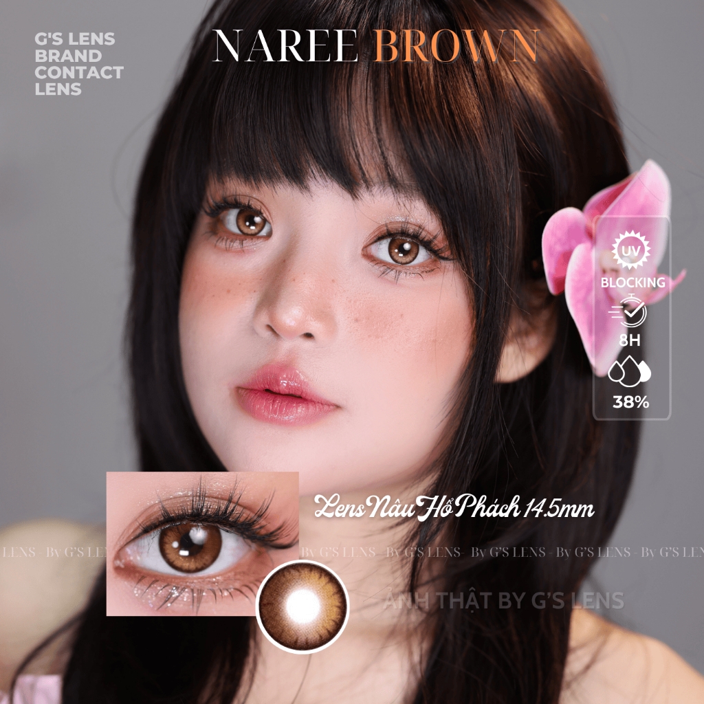 Kính áp tròng 6 tháng NAREE BROWN màu nâu sáng tây giãn tròng vừa GTRENDY - MC38