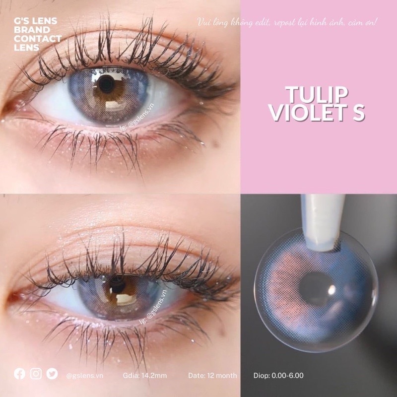 Kính áp tròng 6 tháng TULIP VIOLET BLUE màu tím xanh sáng tây giãn tròng nhỏ GTRENDY - MC38
