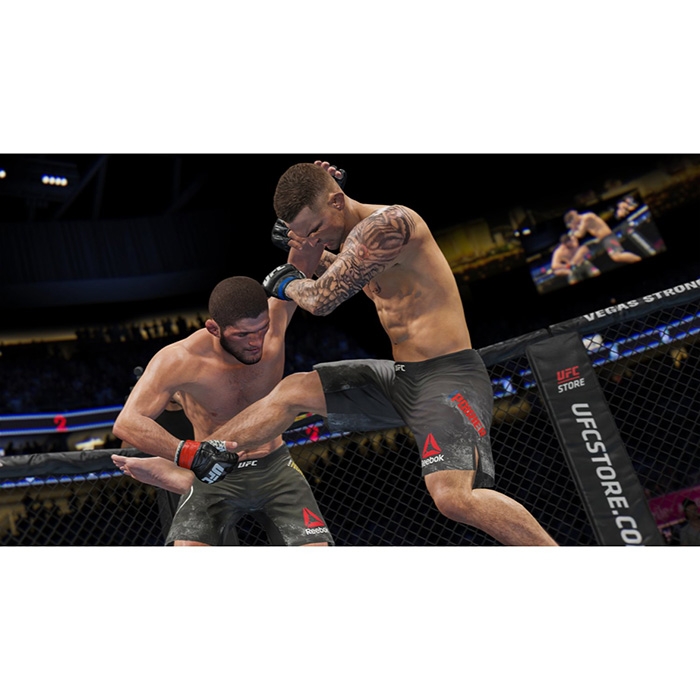 EA Sports UFC 4 [PS4/ASIA]