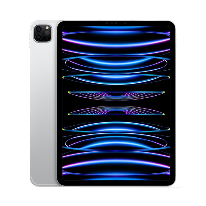 iPad Pro 11-inch M2 2022 Wi-Fi + Cellular 256GB