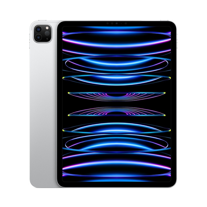 iPad Pro 11-inch M2 2022 Wi-Fi 256GB