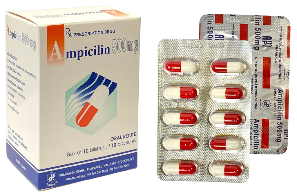 Ampicilin 500mg TW1