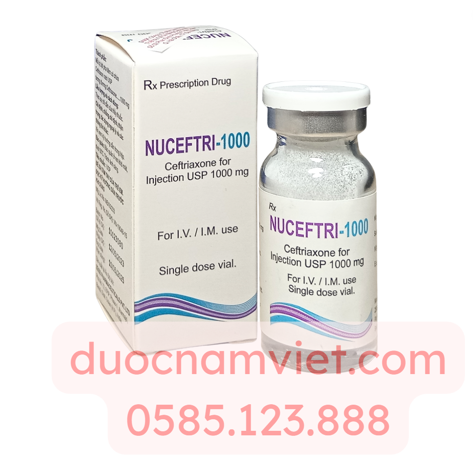 Kháng sinh tiêm Nuceftri 1000mg