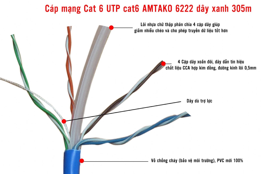 Cáp mạng Cat 6 UTP cat6 AMTAKO 6222 dây xanh 305m