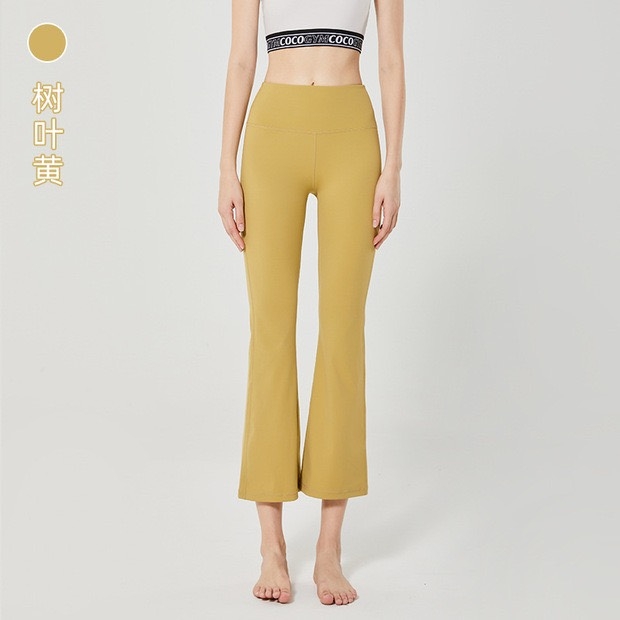 Quẩn vẩy 9 tấc - PYMY028