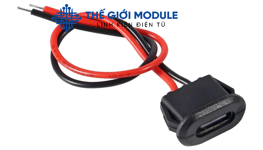 Jack nguồn Type-C  2P kiểu gài 10cm