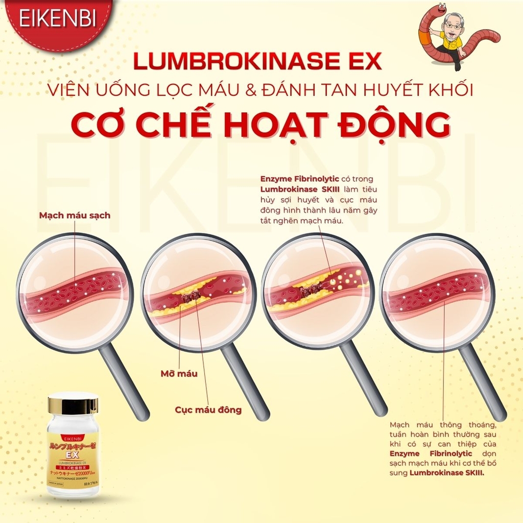 Viên Uống Lumbrokinase EX Eikenbi Tan Cục Máu Đông & Chống Đột Quỵ [60 viên]