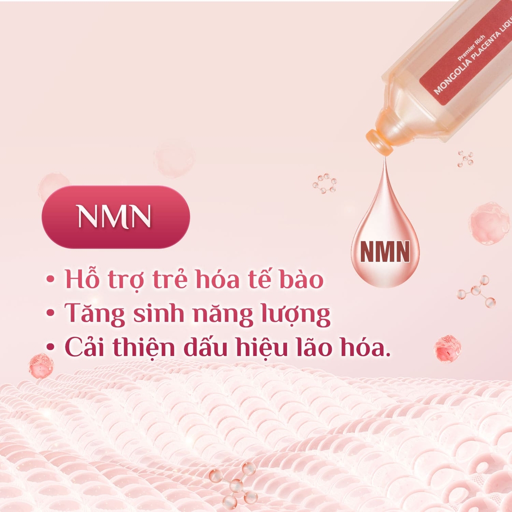 Tế Bào Gốc Nhau Thai Ngựa Chiến Mongolia Eikenbi [30 Ống 10ml]