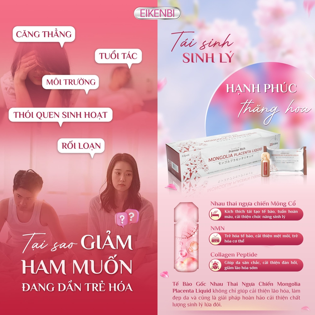 Tế Bào Gốc Nhau Thai Ngựa Chiến Mongolia Eikenbi [30 Ống 10ml]