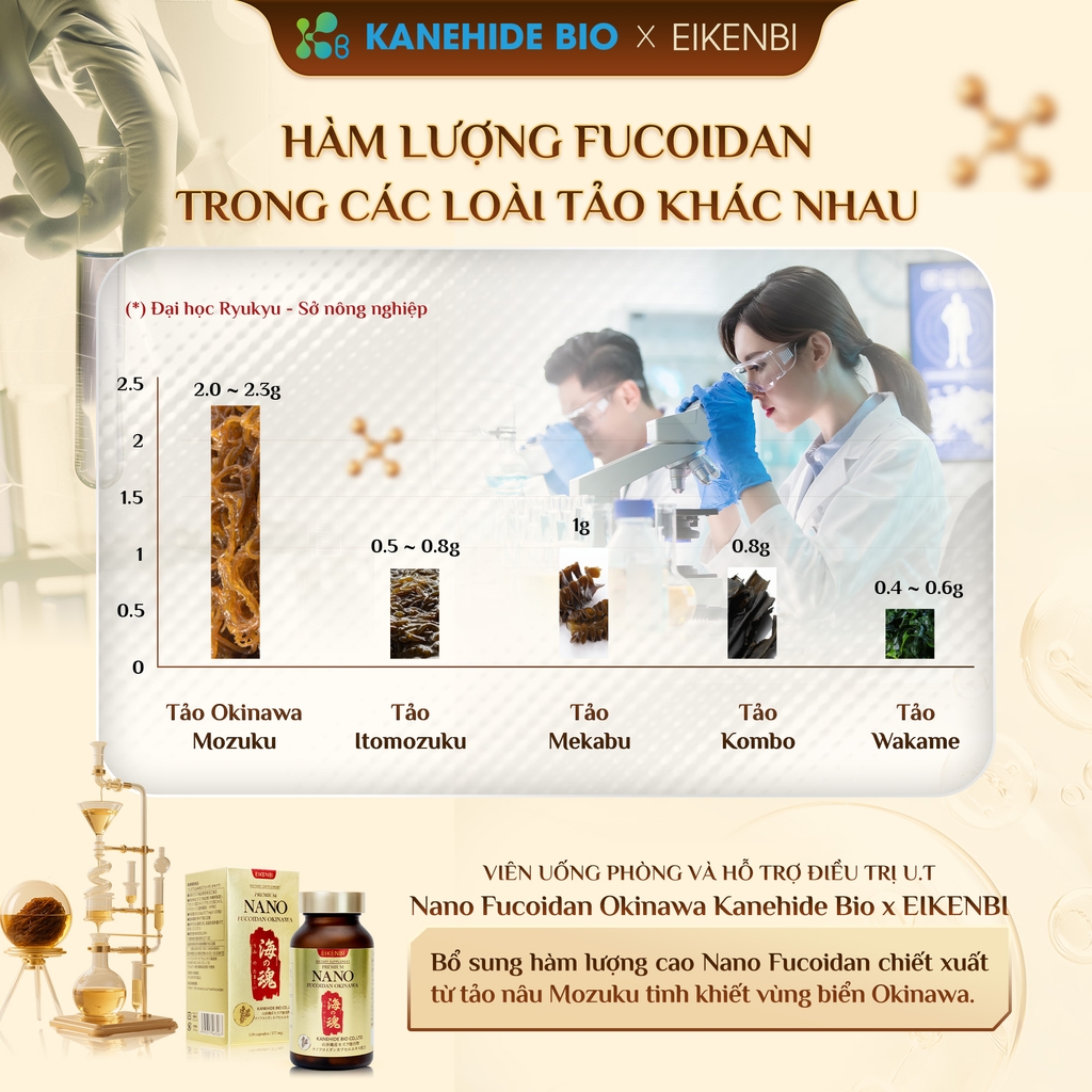 Viên Uống Phòng & Hỗ Trợ Điều Trị Ung Thư Nano Fucoidan Okinawa Kanehide Bio x Eikenbi [120 Viên]
