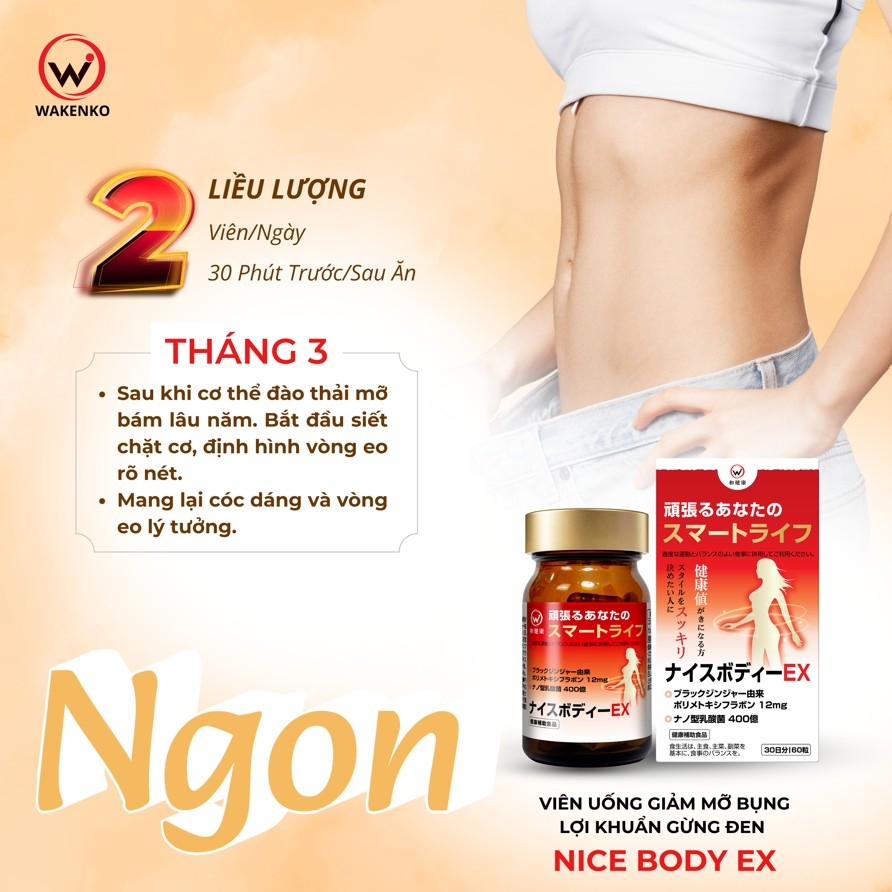 Viên Uống Giảm Mỡ Bụng Lợi Khuẩn Gừng Đen Nice Body Wakenko [60 Viên]