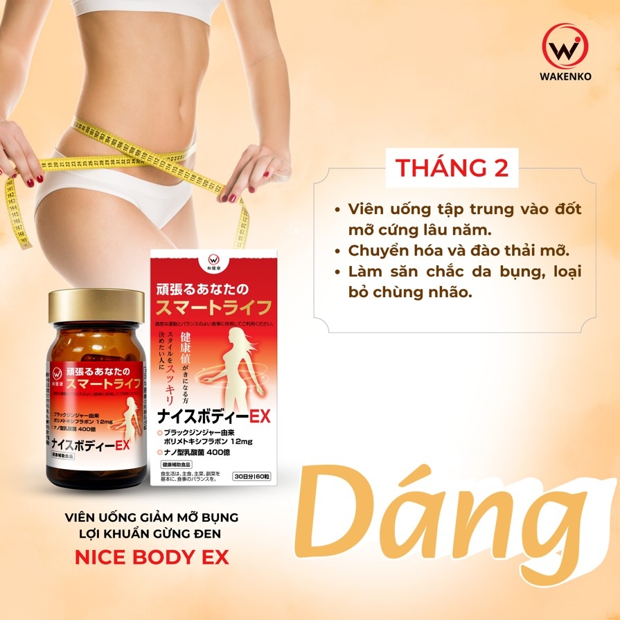 Viên Uống Giảm Mỡ Bụng Lợi Khuẩn Gừng Đen Nice Body Wakenko [60 Viên]