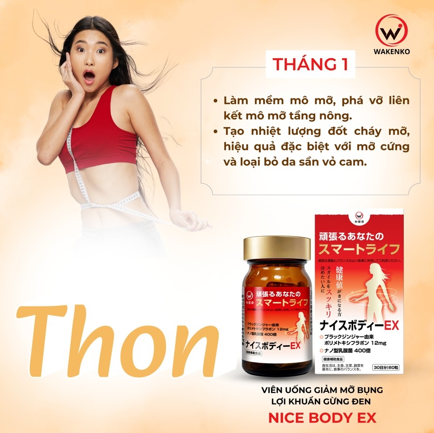 Viên Uống Giảm Mỡ Bụng Lợi Khuẩn Gừng Đen Nice Body Wakenko [60 Viên]