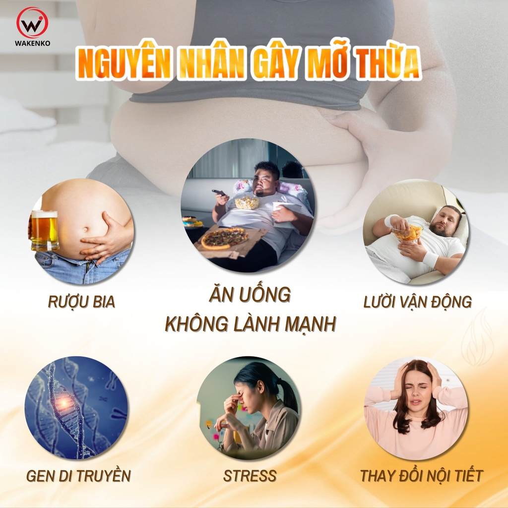 Viên Uống Giảm Mỡ Bụng Lợi Khuẩn Gừng Đen Nice Body Wakenko [60 Viên]