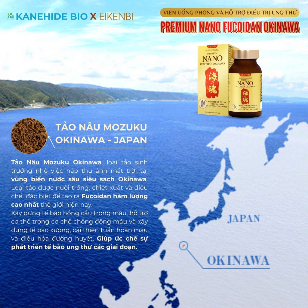 Viên Uống Hỗ Trợ Điều Trị Ung Thư Nano Fucoidan Okinawa Eikenbi [120 Viên - Date: Tháng 12/2026]