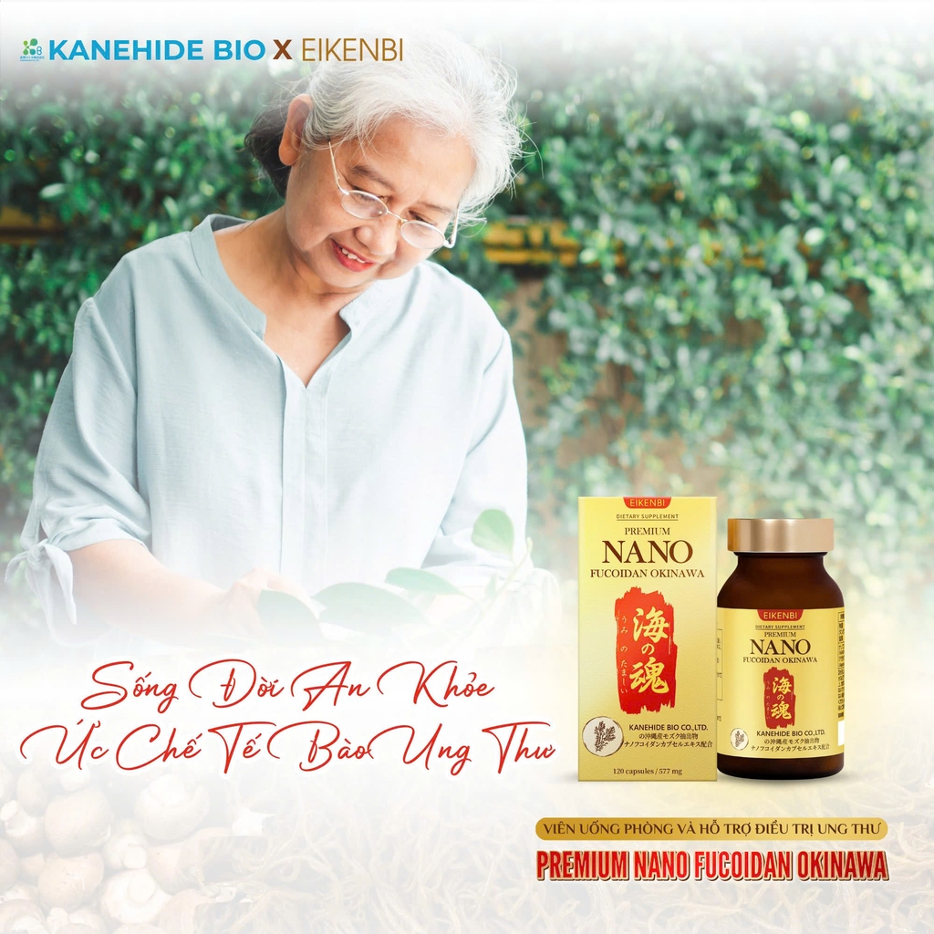 Viên Uống Phòng & Hỗ Trợ Điều Trị Ung Thư Nano Fucoidan Okinawa Kanehide Bio x Eikenbi [120 Viên]