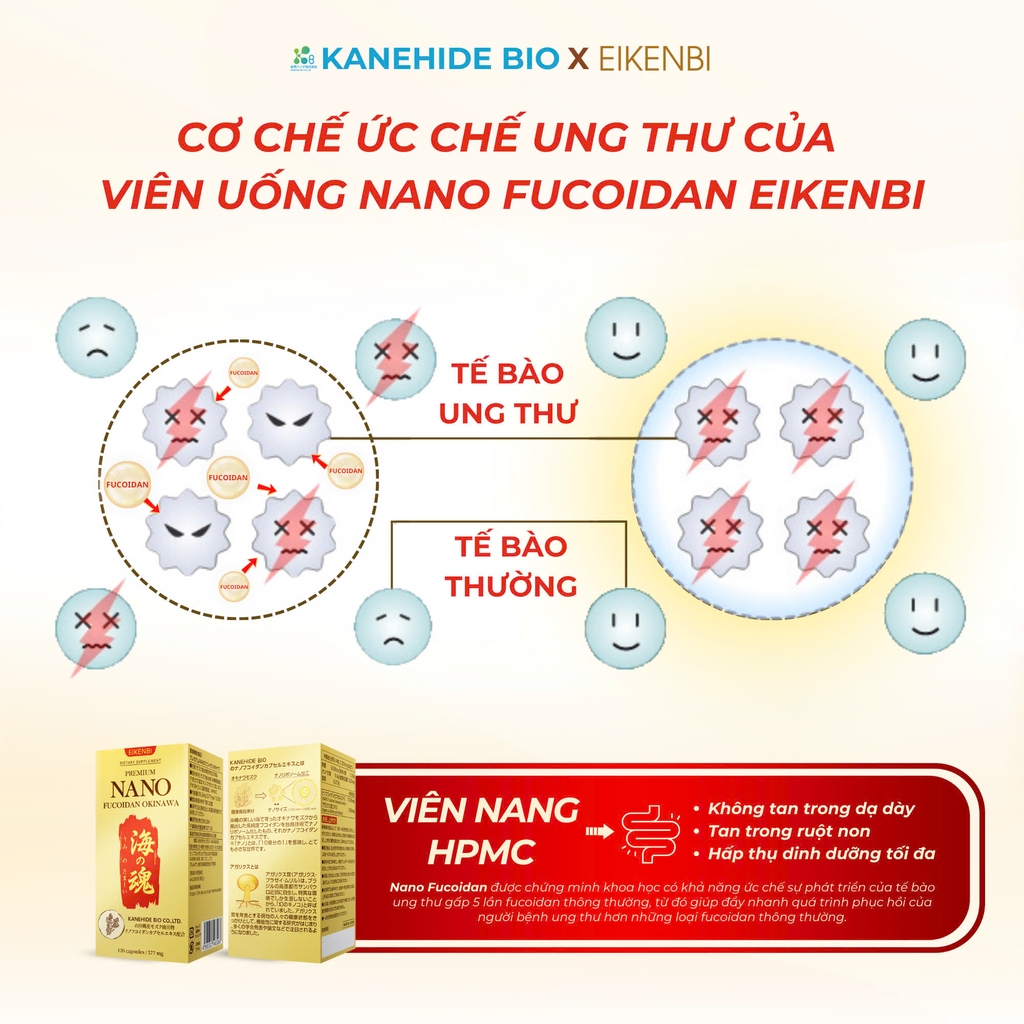 Viên Uống Phòng & Hỗ Trợ Điều Trị Ung Thư Nano Fucoidan Okinawa Kanehide Bio x Eikenbi [120 Viên]