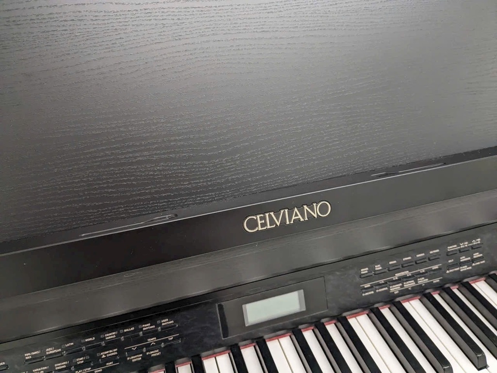 CASIO AP650M