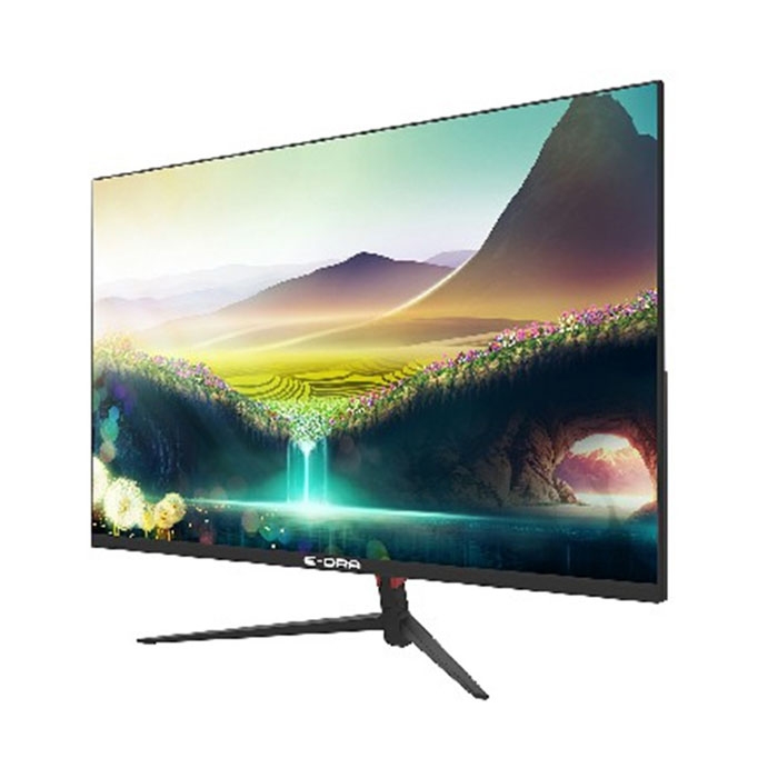 MÀN HÌNH E-DRA EGM24F100S (23.8 INCH| FHD| IPS| 100HZ| 1MS)