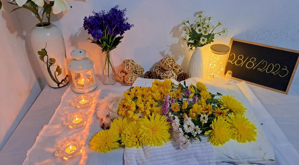 Hỏa táng thú cưng