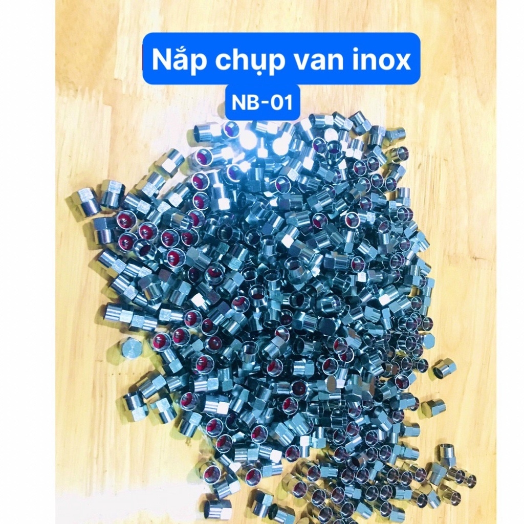Nắp Van Inox