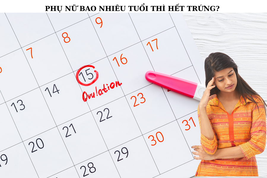BAO NHIÊU TUỔI THÌ HẾT TRỨNG? NHỮNG YẾU TỐ ẢNH HƯỞNG ĐẾN QUÁ TRÌNH HẾT TRỨNG Ở PHỤ NỮ