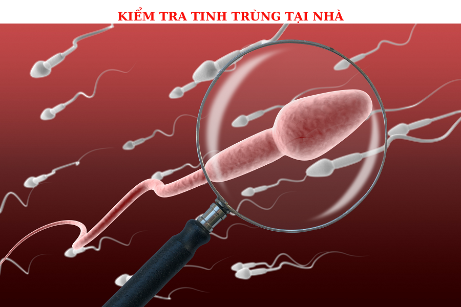 CÁCH KIỂM TRA TINH TRÙNG MẠNH HAY YẾU TẠI NHÀ AN TOÀN VÀ CHÍNH XÁC