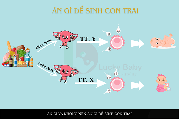 MUỐN SINH CON TRAI VỢ CHỒNG NÊN KIÊNG ĂN GÌ