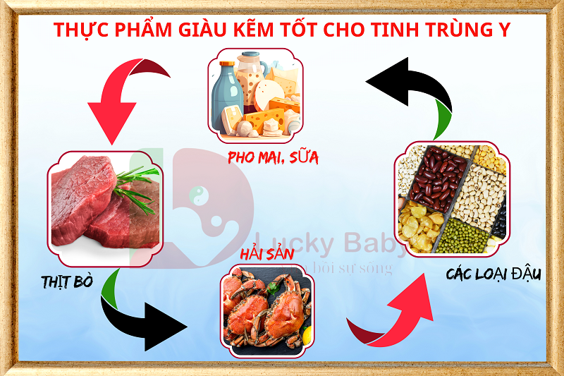 THỰC PHẨM GIÚP TĂNG TINH TRÙNG Y