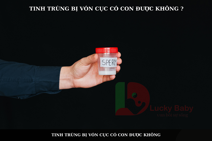 TINH TRÙNG VÓN CỤC CÓ SINH CON ĐƯỢC KHÔNG