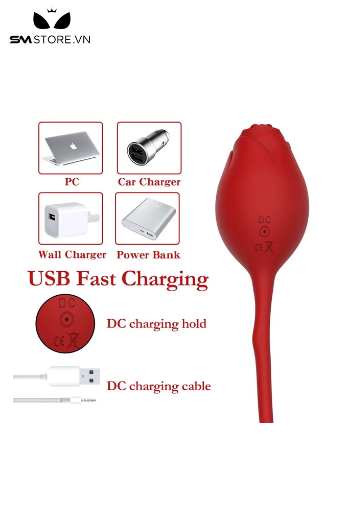 SMT1569 - Trứng rung 2 đầu hình hoa hồng điều khiển mini dài 19cm
