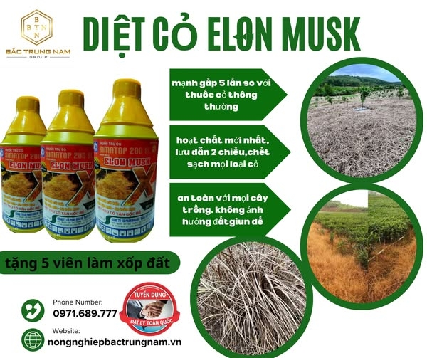 Thuốc diệt cỏ ELON MUSK
