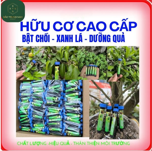 Combo 10 lọ phân bón lá 1954