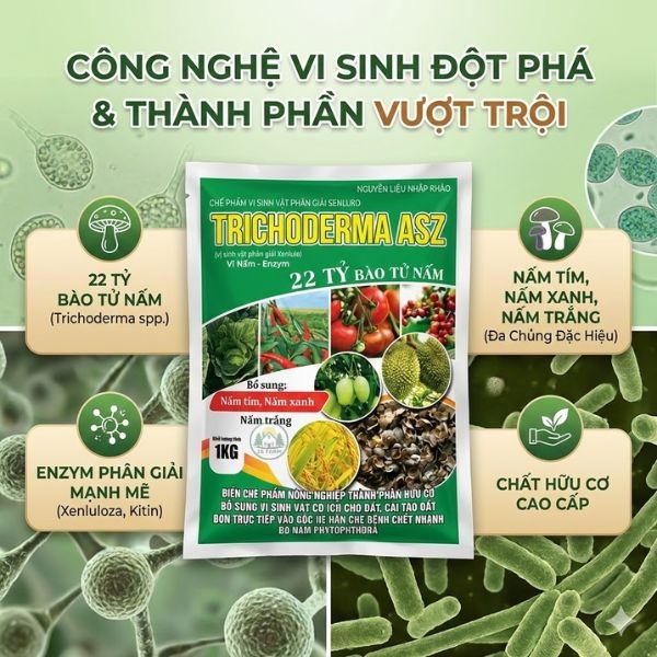 Chế phẩm vi sinh Trichoderma – Chuyên ủ phân hữu cơ, giảm mùi, nhanh hoai mục