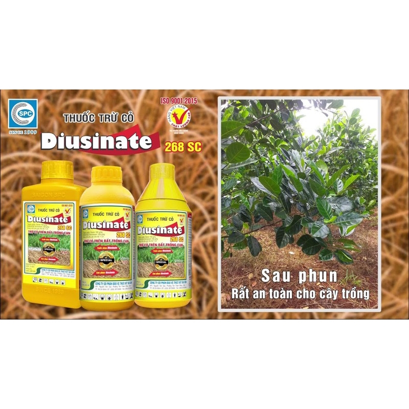 Thuốc Trừ Cỏ DIUSINATE 268 SC, Thuốc trừ cỏ không chọn lọc, diệt cỏ dại kết hợp diệt mầm, tác động tiếp xúc và lưu dẫn
