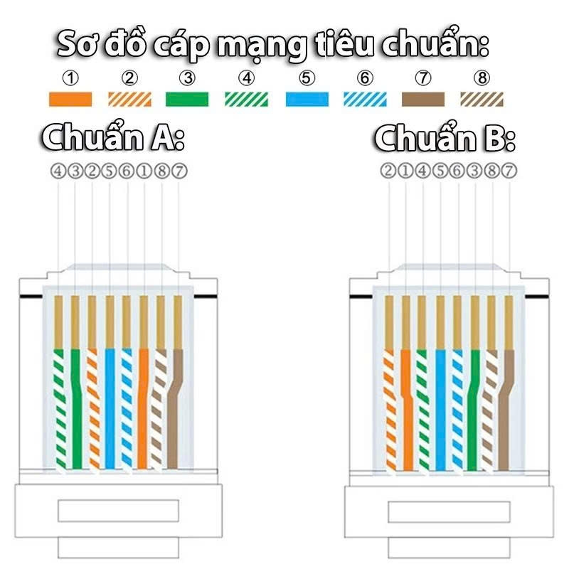 Combo 100 Hạt mạng RJ45 Cat6 Ugreen 60558 NW 120 100 chiếc chân đồng nhựa trong suốt
