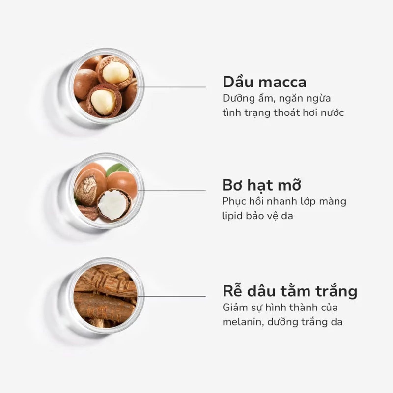 Kem Dưỡng Trắng Toàn Thân GSC+ 500ml