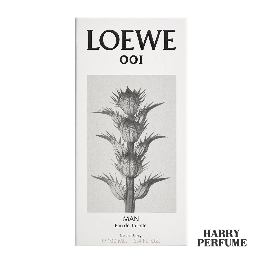 Loewe - 001 Man EDT