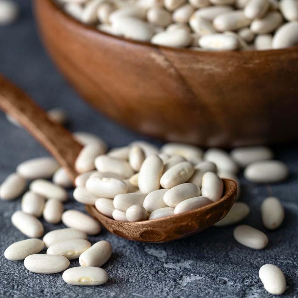 Đậu trắng canh tác sạch