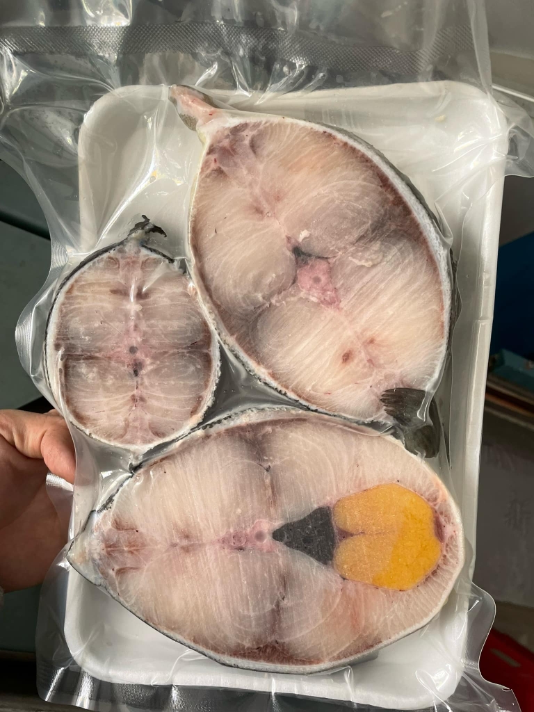 CÁ BỐP CẮT KHOANH