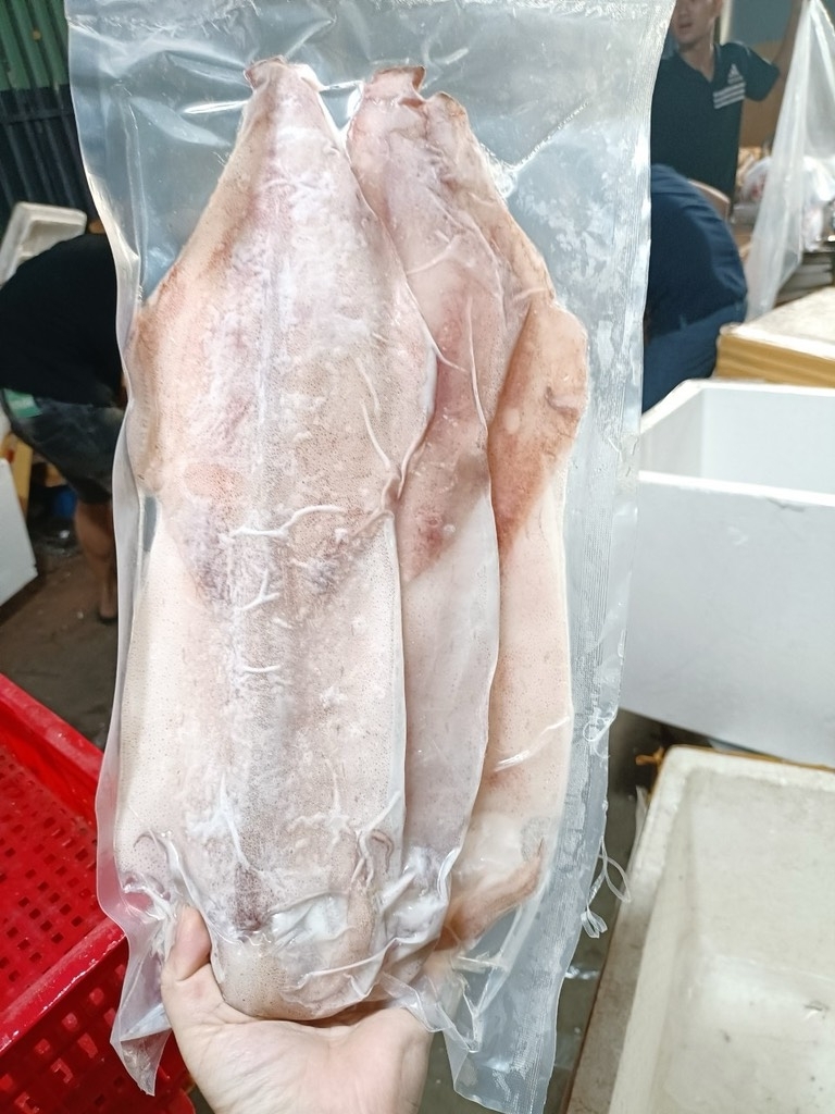 MỰC ỐNG MỘT NẮNG