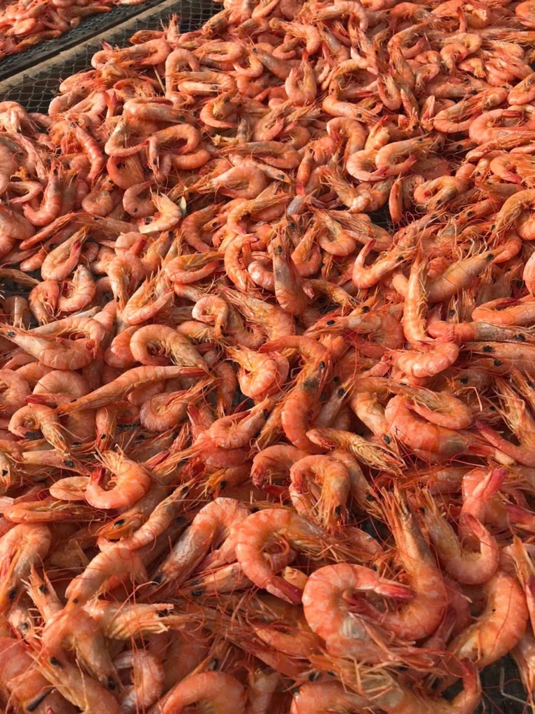 TÔM KHÔ NGUYÊN VỎ